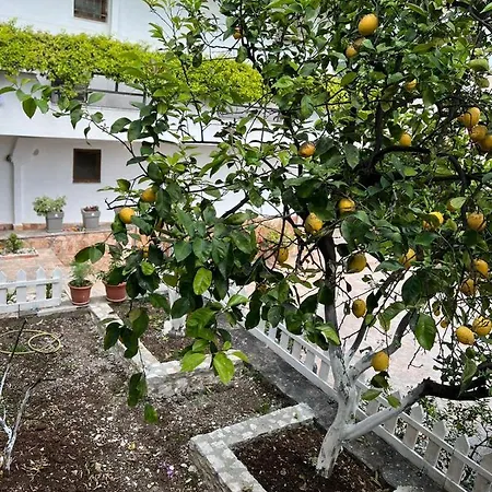 Apartmán Garden 6 Sarandë