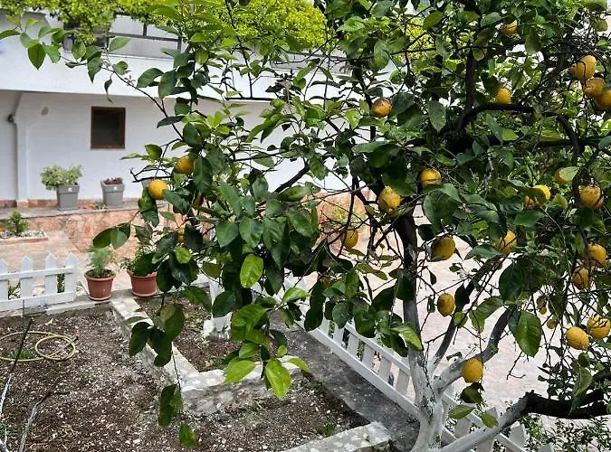 Apartmán Garden 6 Sarandë